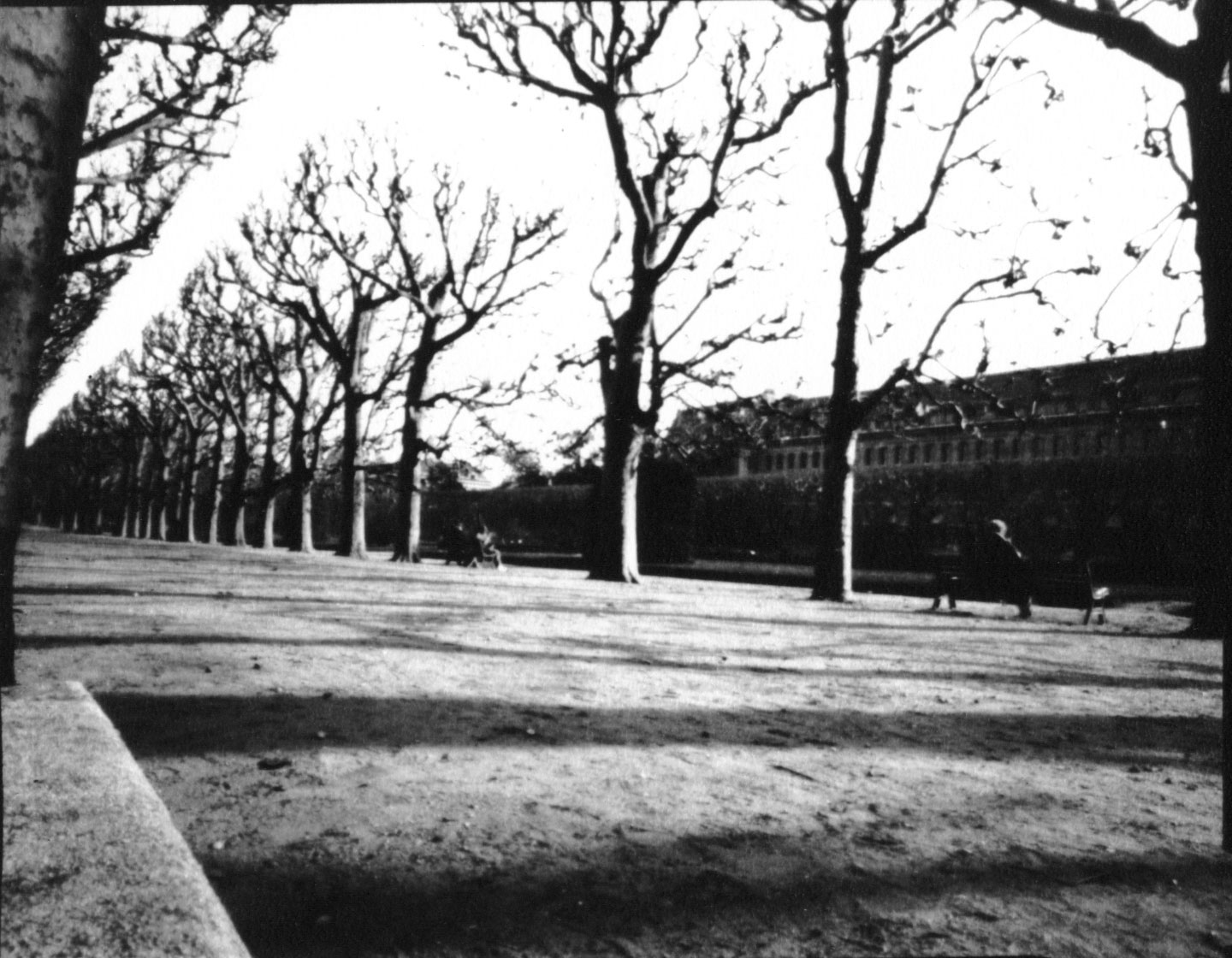 Jardin des Plantes, Paris, France (1998) 3:35