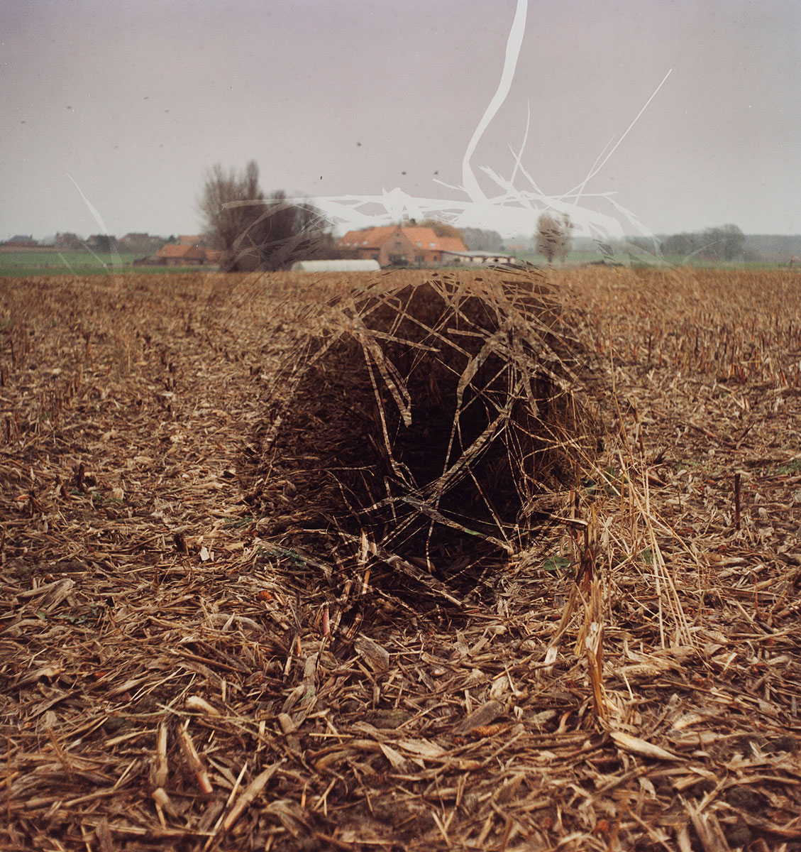 Field, Passchendaele, Belgium (2014) | 21 ¼” x 19 ¾” (54 x 50.2 cm) | Film negative with darkroom manipulation.
