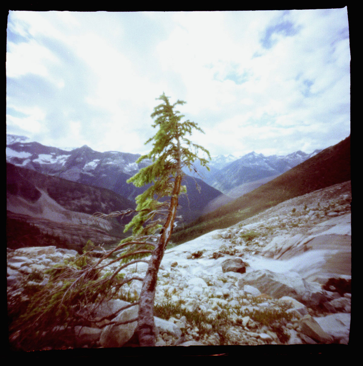 wheeler-hut-expedition_01_lone-tree_rogers-pass-alberta_2000_dianne-bos