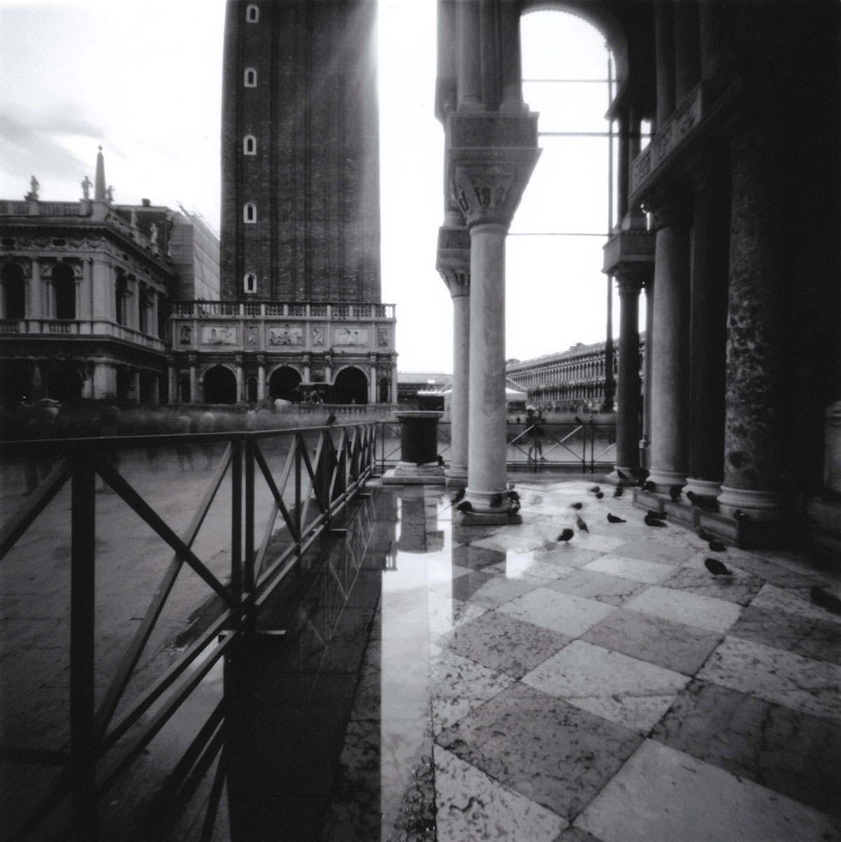 Venice (Bifurcated), Italy (2007)