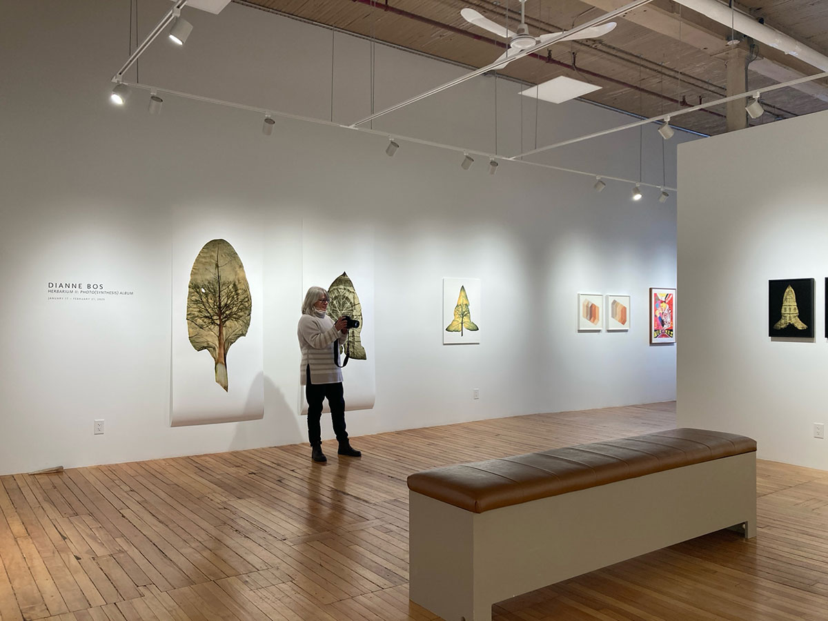EXHIBITION: "Herbarium II: Photo(synthesis) Album" at Smokestack in Hamilton Spring 2025